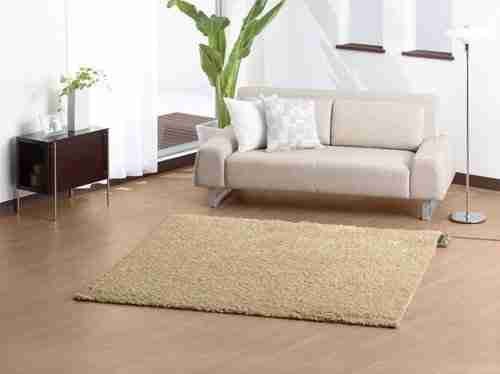 elect_carpet1.jpg elect_carpet1.jpg